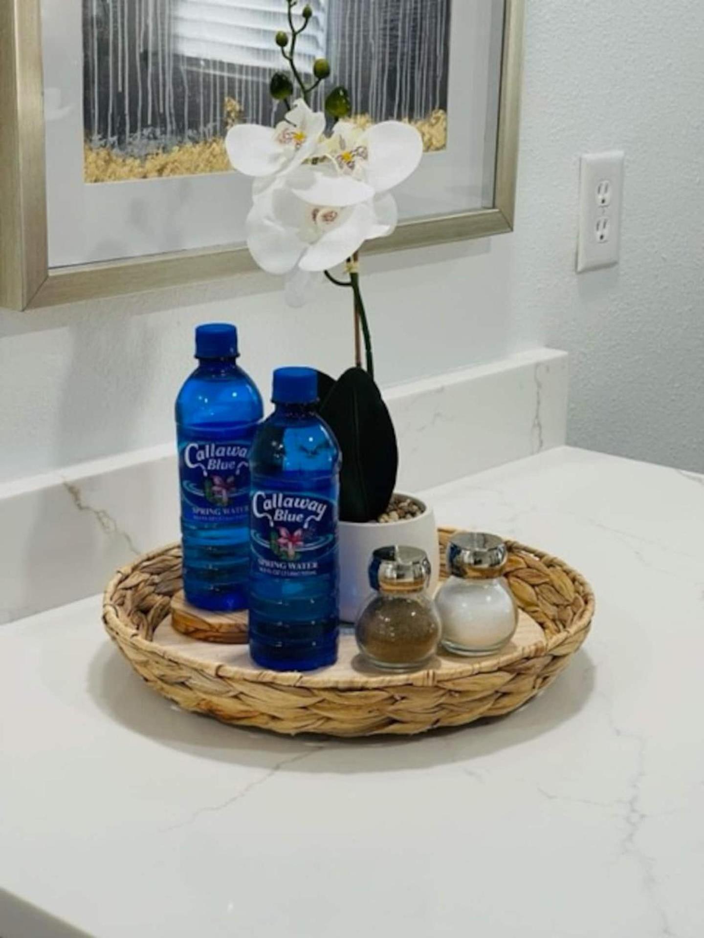 Walk Everywhere! 1-Bedroom Gem In Downtown Hub New Port Richey Exteriér fotografie