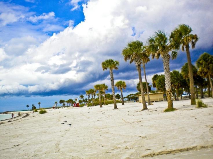Walk Everywhere! 1-Bedroom Gem In Downtown Hub New Port Richey Exteriér fotografie