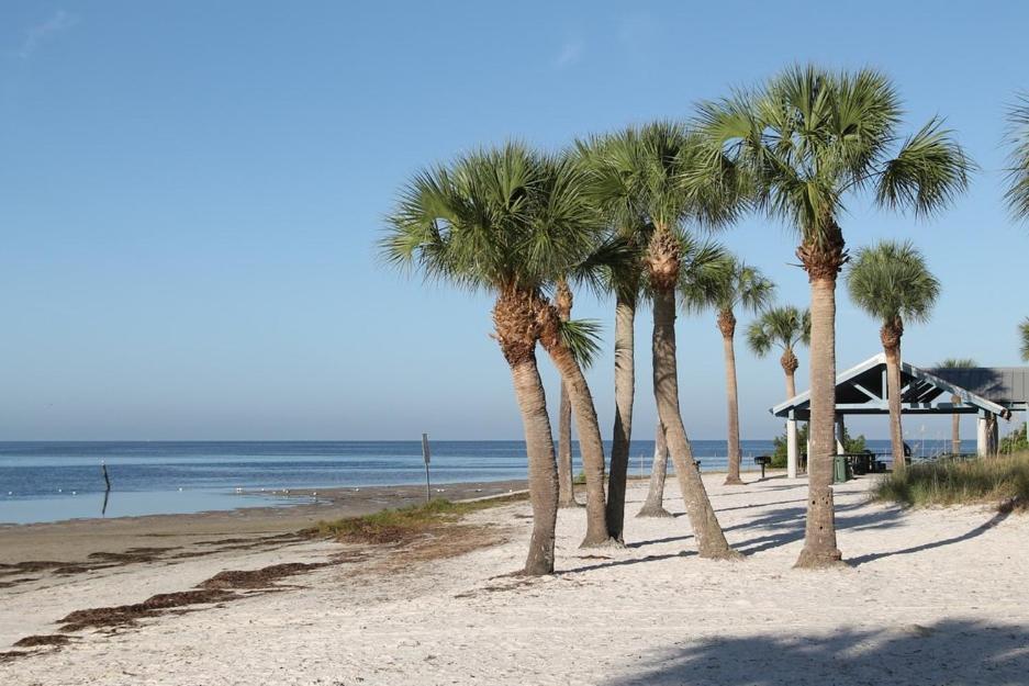 Walk Everywhere! 1-Bedroom Gem In Downtown Hub New Port Richey Exteriér fotografie